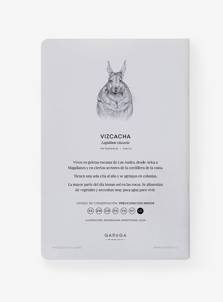 libreta diseño vizcacha Chile
libreta papelería ilustración fauna flora chilena
regalo libreta vizcacha fauna Chile
libreta 60 páginas vizcacha Chile
regalo papelería fauna flora nativa Chile