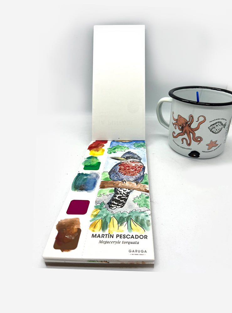 fauna flora nativa Chile pack regalo bienestar
pack regalo Garuga Chile sustentable consciente
regalo curado fauna Chile pack mi momento
conservación Chile pack regalo bienestar fauna