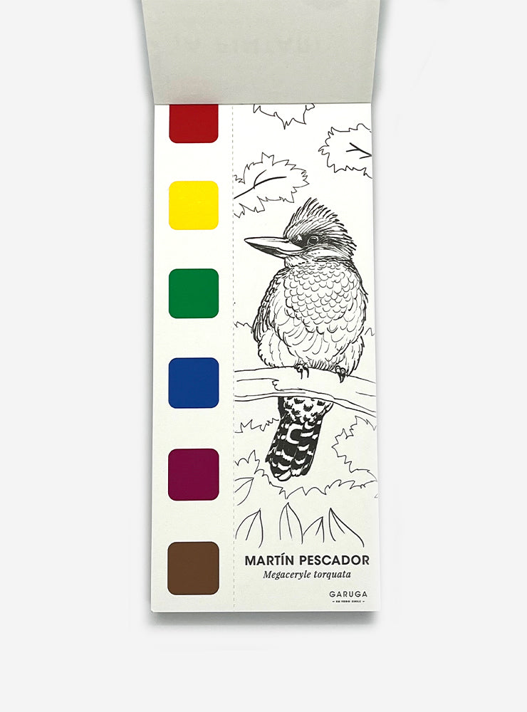 libro acuarela fauna flora nativa Chile niños
regalo libro acuarela pintar fauna chilena
libro acuarela ilustraciones fauna nativa Chile
libro pintar acuarela educativo fauna Chile
regalo creativo libro acuarela fauna Chile