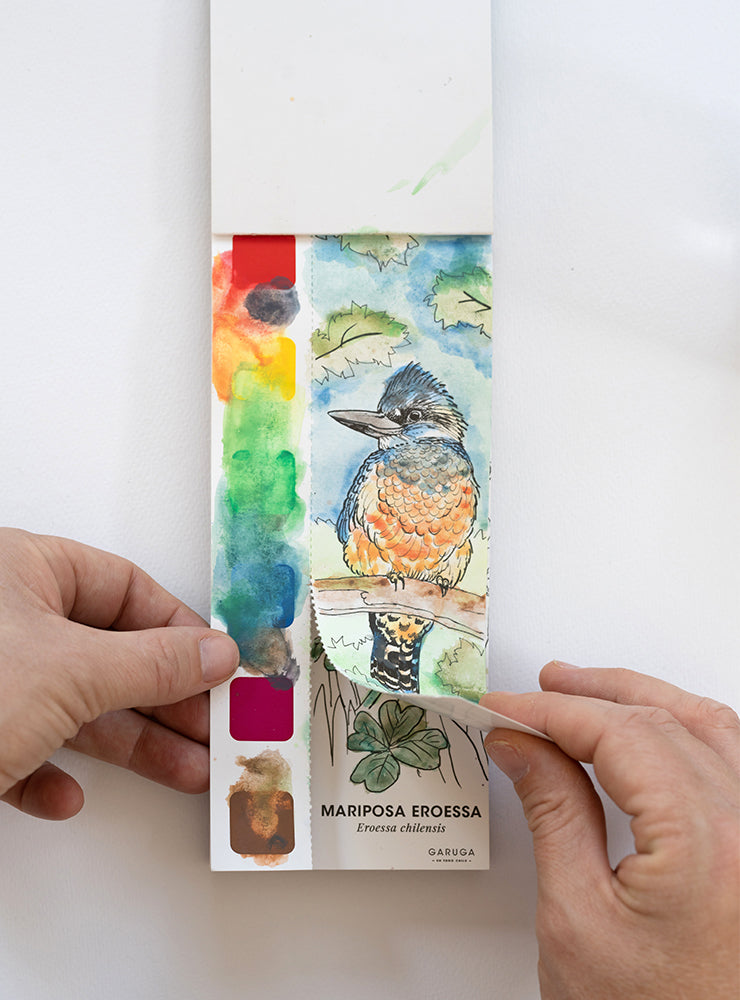 libro acuarela fauna flora nativa Chile niños
regalo libro acuarela pintar fauna chilena
libro acuarela ilustraciones fauna nativa Chile
libro pintar acuarela educativo fauna Chile
regalo creativo libro acuarela fauna Chile