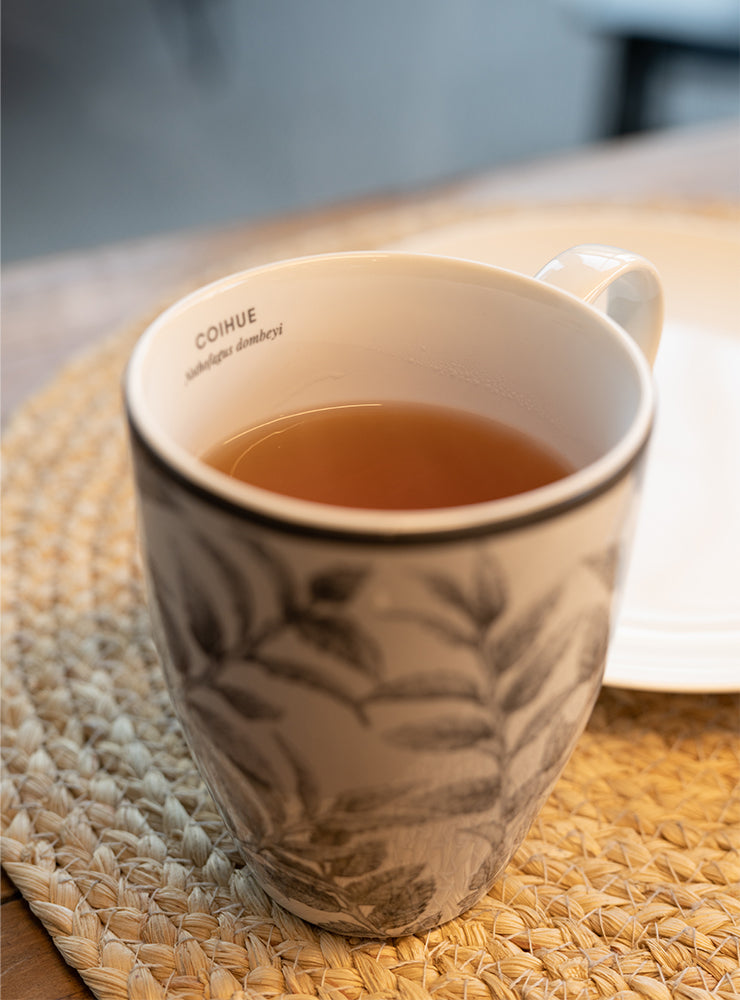 set 6 mugs porcelana diseño coihue bosque valdiviano Chile
regalo set mugs porcelana árbol nativo Chile
set mugs porcelana coihue decoración hogar Chile
regalo Navidad set mugs porcelana flora nativa Chile
set tazas porcelana bosque nativo Chile regalo