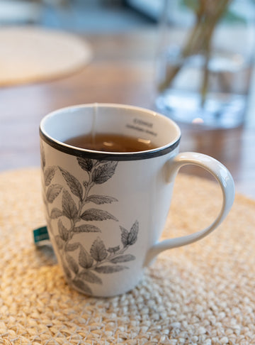 set 6 mugs porcelana diseño coihue bosque valdiviano Chile
regalo set mugs porcelana árbol nativo Chile
set mugs porcelana coihue decoración hogar Chile
regalo Navidad set mugs porcelana flora nativa Chile
set tazas porcelana bosque nativo Chile regalo