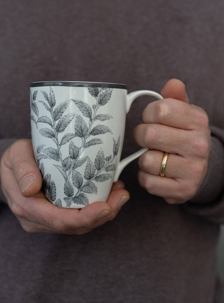 set 6 mugs porcelana diseño coihue bosque valdiviano Chile
regalo set mugs porcelana árbol nativo Chile
set mugs porcelana coihue decoración hogar Chile
regalo Navidad set mugs porcelana flora nativa Chile
set tazas porcelana bosque nativo Chile regalo