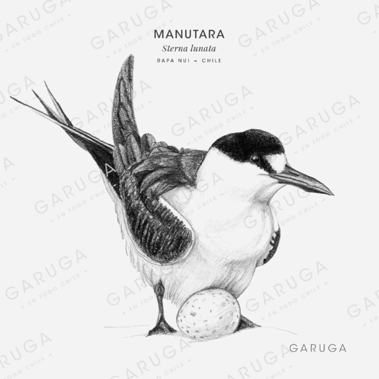 MANUTARA