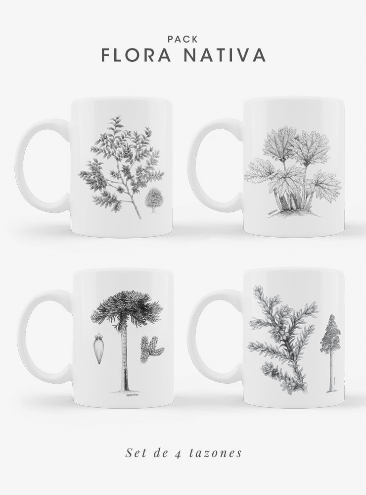 set 4 tazones cerámica flora nativa Chile
regalo set tazones alerce araucaria coihue nalca Chile
set tazones apto microondas flora nativa Chile
regalo Navidad set tazones flora nativa Chile
set tazones árboles endémicos Chile regalo hogar