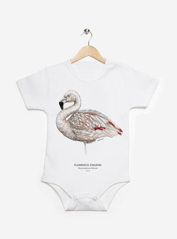 pilucho manga corta bebé diseño flamenco chileno Chile
ropa bebé manga corta con ave rosada nativa salares Chile
pilucho algodón PIMA peruano manga corta flamenco bebé
regalo recién nacido flamenco pilucho manga corta Chile
ropa bebé conservación aves salares Chile manga corta