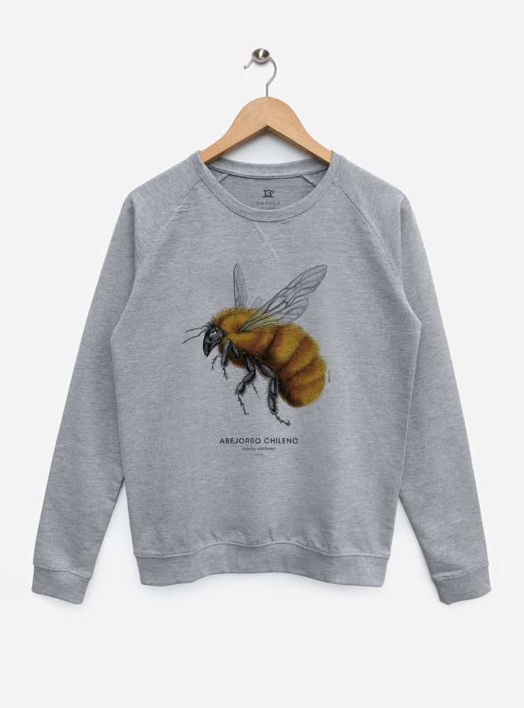 polerón sin afranelado diseño abejorro chileno
ropa con polinizador nativo Chile primavera
polerón algodón unisex insecto endémico Chile
regalo abejorro chileno conservación
ropa liviana con insectos nativos Chile