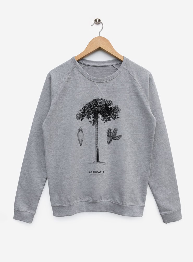polerón sin afranelado diseño araucaria Chile
ropa con árbol sagrado mapuche Chile media temporada
polerón algodón unisex árbol milenario Chile
regalo con araucaria bosque nativo Chile
ropa liviana flora endémica Chile primavera