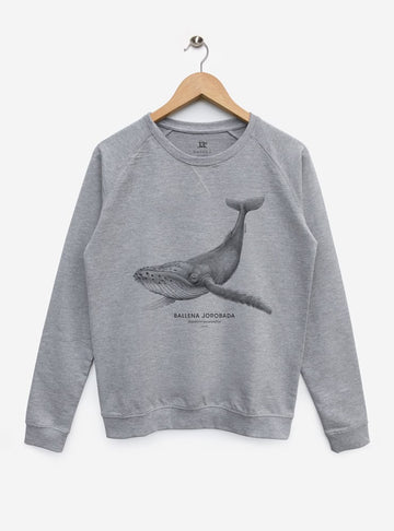 polerón sin afranelado diseño ballena jorobada Chile
ropa con cetáceo nativo Chile media temporada
polerón algodón unisex ballena jorobada
regalo ballena jorobada fauna marina Chile
ropa liviana con mamífero marino Chile