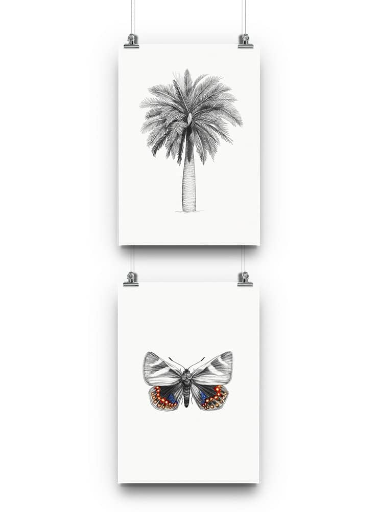 pack 2 láminas para enmarcar fauna nativa Chile
regalo pack láminas firmadas Magdalena Armstrong Chile
pack láminas papel Permalite 310 grs fauna Chile
regalo Navidad pack láminas arte fauna Chile
pack láminas decoración hogar fauna nativa Chile