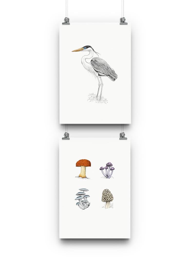pack 2 láminas para enmarcar fauna nativa Chile
regalo pack láminas firmadas Magdalena Armstrong Chile
pack láminas papel Permalite 310 grs fauna Chile
regalo Navidad pack láminas arte fauna Chile
pack láminas decoración hogar fauna nativa Chile