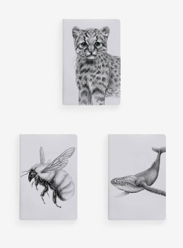 pack 4 libretas bazar 13 diseño fauna chilena
pack libretas edición especial bazar 13 Chile
regalo pack libretas fauna Chile bazar 13
pack libretas abejorro ballena güiña Chile
regalo papelería fauna bazar 13 Chile