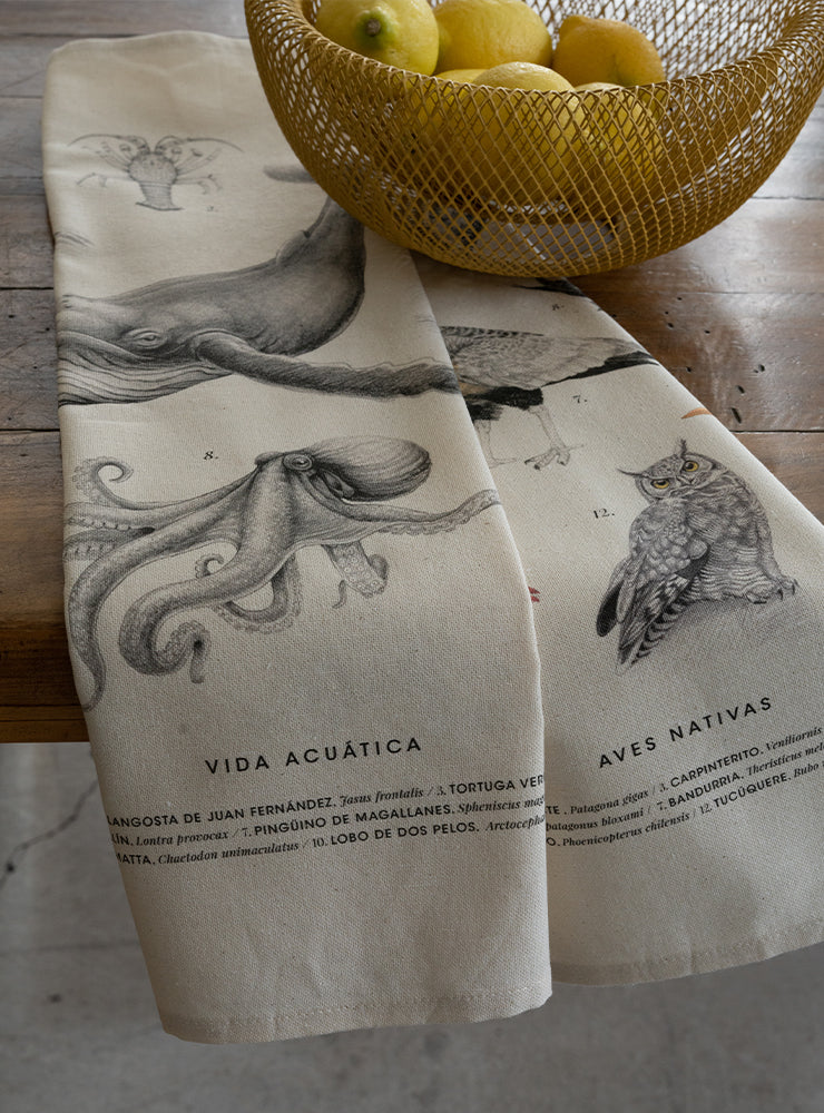 Paño cocina Vida acuática