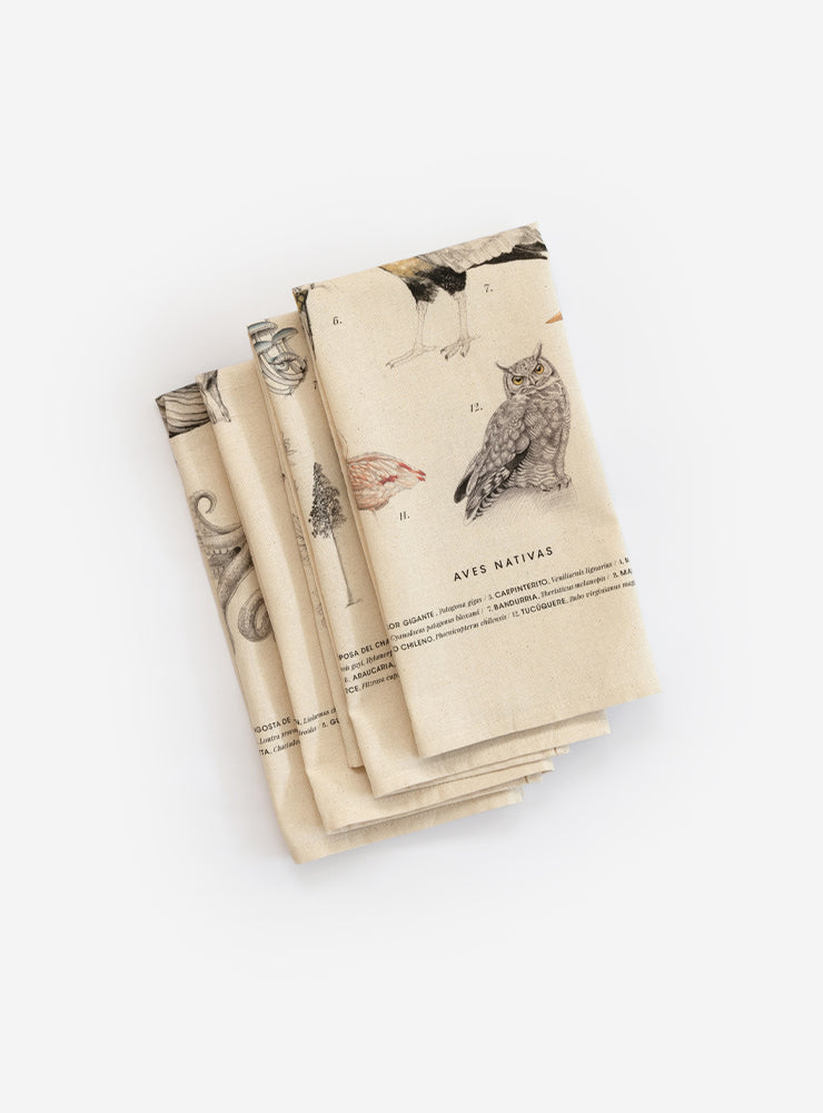 Pack 4 Paños de cocina