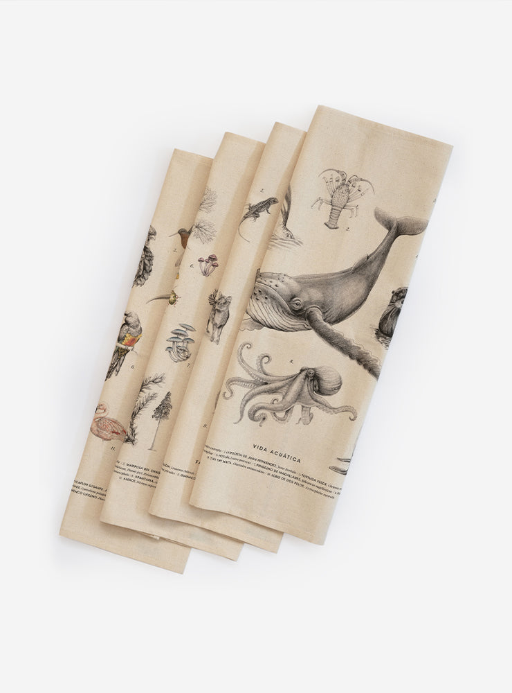 Pack 4 Paños de cocina