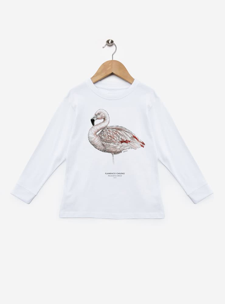 polera infantil manga larga diseño flamenco chileno Chile
ropa niño con ave rosada nativa salares Chile manga larga
polera algodón niño manga larga flamenco altiplánico
regalo niño manga larga flamenco chileno fauna andina
ropa infantil manga larga conservación aves salares Chile