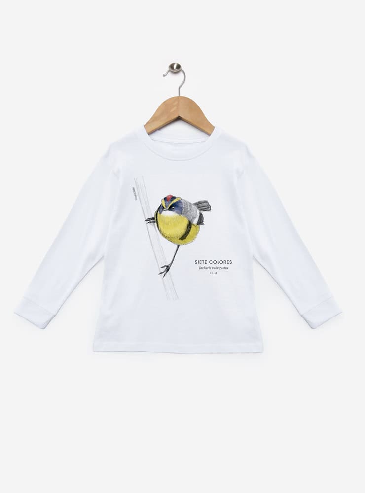 polera infantil manga larga diseño siete colores Chile
ropa niño con ave más colorida humedales Chile manga larga
polera algodón niño manga larga siete colores Chile
regalo niño manga larga siete colores fauna Chile
ropa infantil manga larga conservación humedales Chile