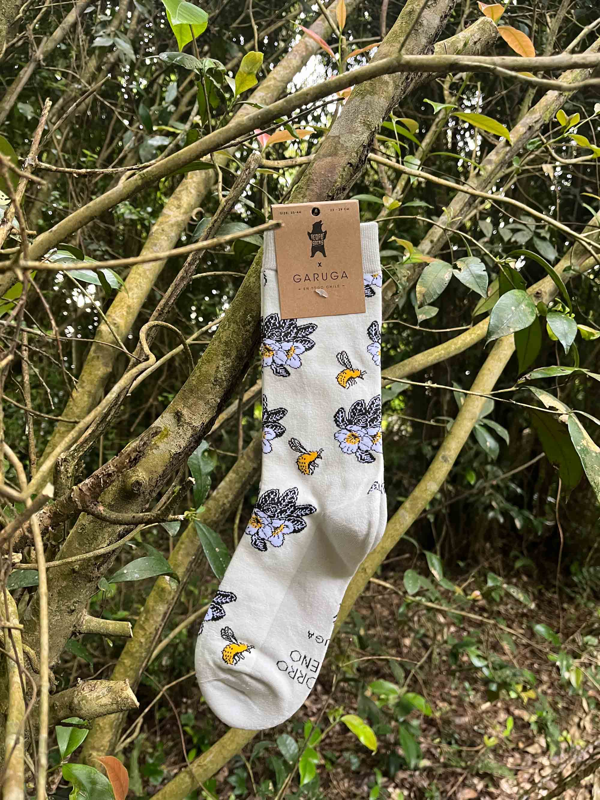 polinización flora nativa Chile ilustración calcetines
abejorro chileno flores nativas Chile calcetines sustentable
calcetines fauna flora Chile moda consciente People Socks
conservación polinizadores Chile calcetines polinización