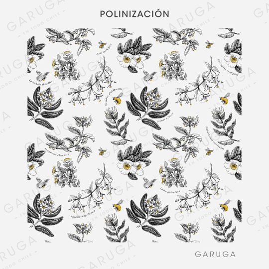 POLINIZACIÓN