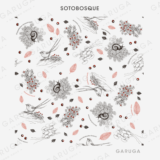 SOTOBOSQUE