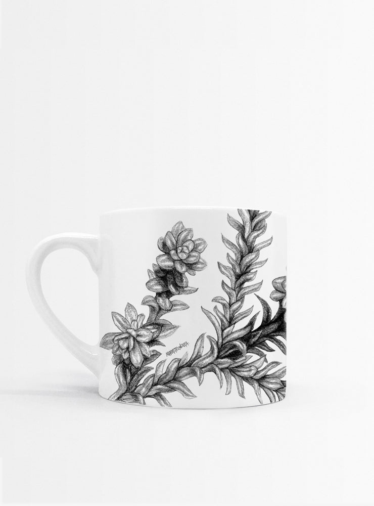 set 4 tazas diseño flora nativa Chile hojas
regalo set tazas alerce araucaria coihue nalca Chile
set tazas flora nativa Chile regalo hogar
regalo Navidad set tazas flora chilena
set tazas ilustración árboles nativos sustentable Chile