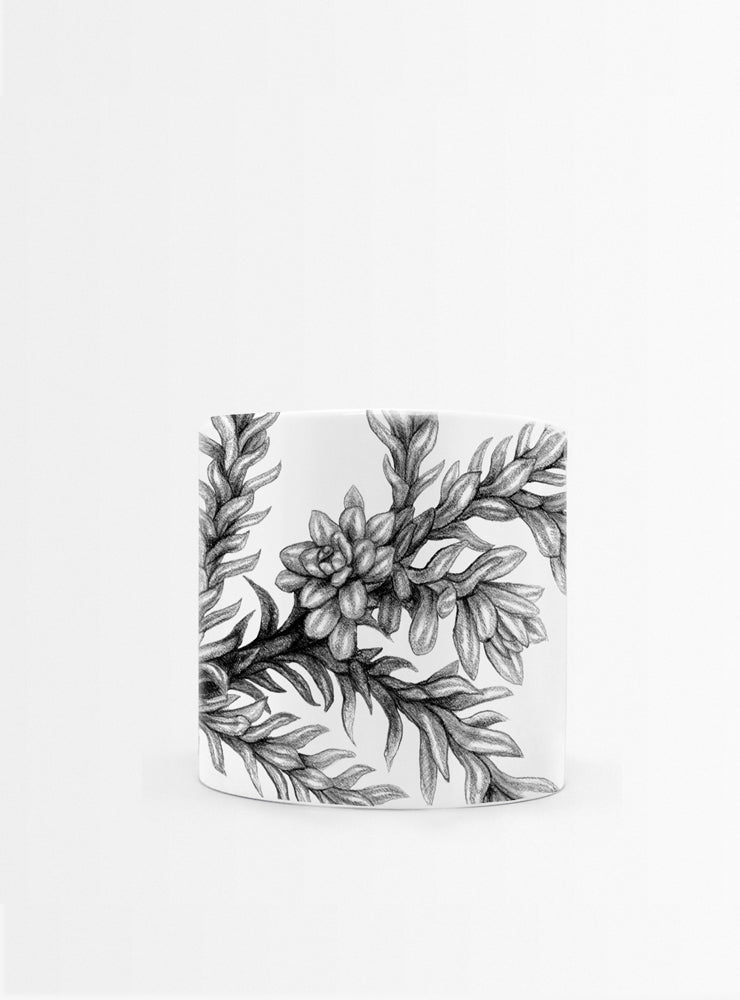 set 4 tazas diseño flora nativa Chile hojas
regalo set tazas alerce araucaria coihue nalca Chile
set tazas flora nativa Chile regalo hogar
regalo Navidad set tazas flora chilena
set tazas ilustración árboles nativos sustentable Chile