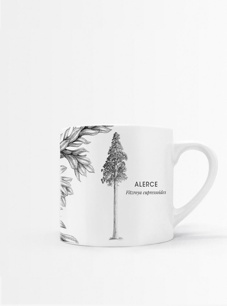 set 4 tazas diseño flora nativa Chile hojas
regalo set tazas alerce araucaria coihue nalca Chile
set tazas flora nativa Chile regalo hogar
regalo Navidad set tazas flora chilena
set tazas ilustración árboles nativos sustentable Chile
