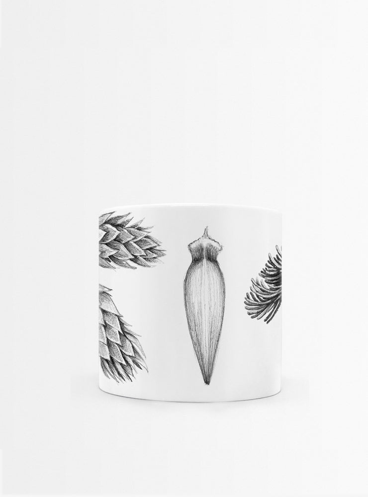 set 4 tazas diseño flora nativa Chile hojas
regalo set tazas alerce araucaria coihue nalca Chile
set tazas flora nativa Chile regalo hogar
regalo Navidad set tazas flora chilena
set tazas ilustración árboles nativos sustentable Chile
