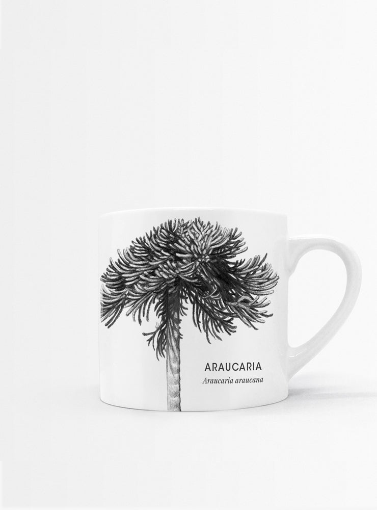 set 4 tazas diseño flora nativa Chile hojas
regalo set tazas alerce araucaria coihue nalca Chile
set tazas flora nativa Chile regalo hogar
regalo Navidad set tazas flora chilena
set tazas ilustración árboles nativos sustentable Chile