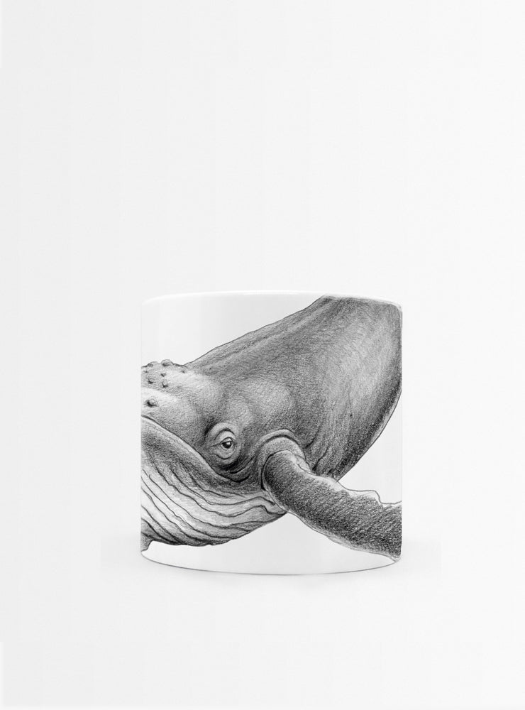 set 4 tazas diseño fauna marina Chile
regalo set tazas ballena jorobada delfín tortuga verde Chile
set tazas fauna marina costas Chile regalo hogar
regalo Navidad set tazas fauna marina Chile
set tazas ilustración fauna marina sustentable Chile