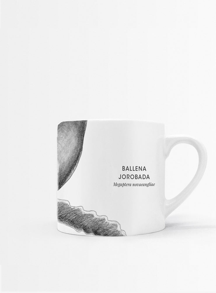 set 4 tazas diseño fauna marina Chile
regalo set tazas ballena jorobada delfín tortuga verde Chile
set tazas fauna marina costas Chile regalo hogar
regalo Navidad set tazas fauna marina Chile
set tazas ilustración fauna marina sustentable Chile