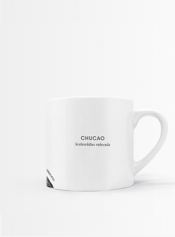 set 4 tazas diseño aves nativas Chile plumas
regalo set tazas chucao loica martín pescador tucúquere Chile
set tazas aves nativas Chile regalo hogar
regalo Navidad set tazas aves plumas Chile
set tazas ilustración aves endémicas sustentable Chile