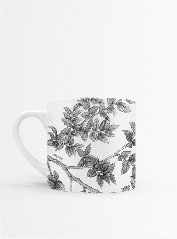 set 4 tazas diseño flora nativa Chile hojas
regalo set tazas alerce araucaria coihue nalca Chile
set tazas flora nativa Chile regalo hogar
regalo Navidad set tazas flora chilena
set tazas ilustración árboles nativos sustentable Chile