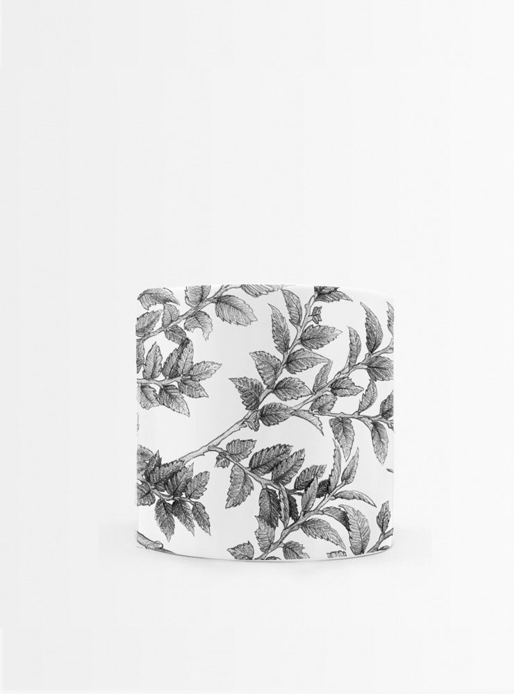 set 4 tazas diseño flora nativa Chile hojas
regalo set tazas alerce araucaria coihue nalca Chile
set tazas flora nativa Chile regalo hogar
regalo Navidad set tazas flora chilena
set tazas ilustración árboles nativos sustentable Chile