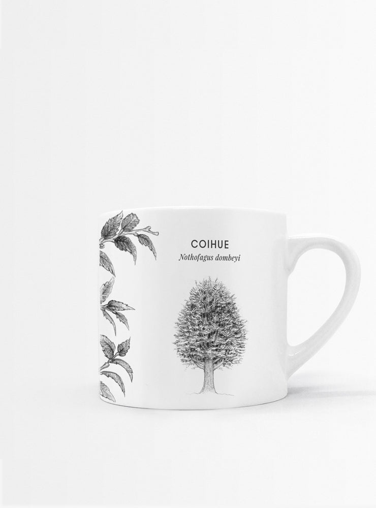 set 4 tazas diseño flora nativa Chile hojas
regalo set tazas alerce araucaria coihue nalca Chile
set tazas flora nativa Chile regalo hogar
regalo Navidad set tazas flora chilena
set tazas ilustración árboles nativos sustentable Chile