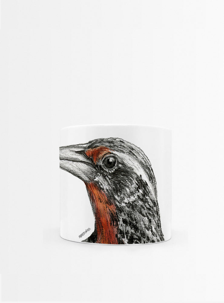 set 4 tazas diseño aves nativas Chile plumas
regalo set tazas chucao loica martín pescador tucúquere Chile
set tazas aves nativas Chile regalo hogar
regalo Navidad set tazas aves plumas Chile
set tazas ilustración aves endémicas sustentable Chile