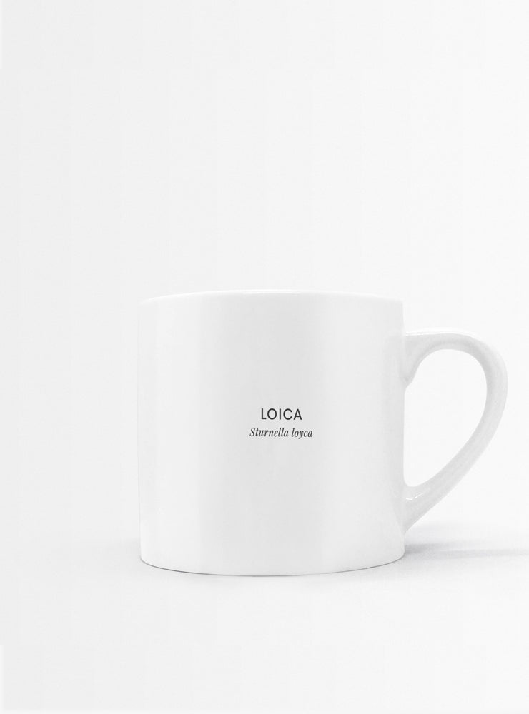 set 4 tazas diseño aves nativas Chile plumas
regalo set tazas chucao loica martín pescador tucúquere Chile
set tazas aves nativas Chile regalo hogar
regalo Navidad set tazas aves plumas Chile
set tazas ilustración aves endémicas sustentable Chile