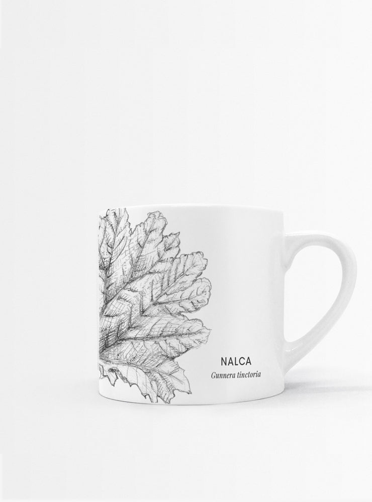 set 4 tazas diseño flora nativa Chile hojas
regalo set tazas alerce araucaria coihue nalca Chile
set tazas flora nativa Chile regalo hogar
regalo Navidad set tazas flora chilena
set tazas ilustración árboles nativos sustentable Chile