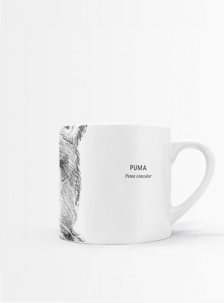 set 4 tazas diseño mamíferos nativos Chile
regalo set tazas güiña puma zorro culpeo Chile
set tazas fauna mamíferos Chile regalo hogar
regalo Navidad set tazas mamíferos Chile
set tazas ilustración fauna mamíferos sustentable Chile