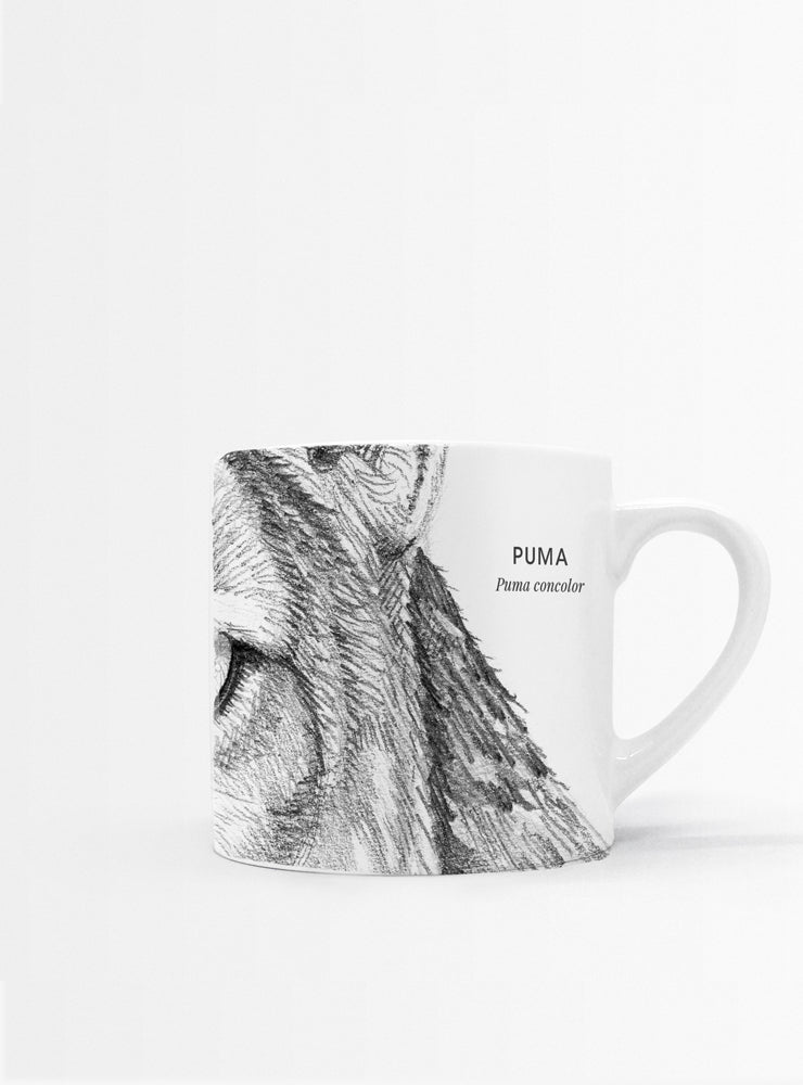 set 4 tazas diseño mamíferos nativos Chile
regalo set tazas güiña puma zorro culpeo Chile
set tazas fauna mamíferos Chile regalo hogar
regalo Navidad set tazas mamíferos Chile
set tazas ilustración fauna mamíferos sustentable Chile