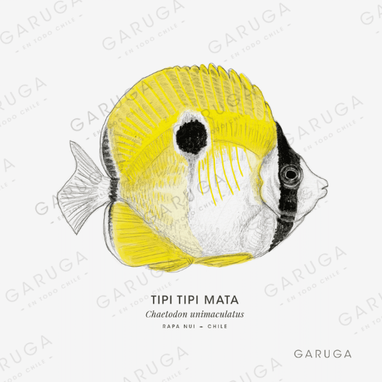 TIPI TIPI MATA