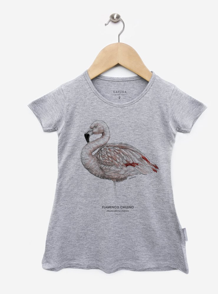 vestido gris infantil manga corta diseño flamenco chileno Chile
ropa niña con ave rosada nativa salares Chile gris
vestido algodón modal gris niña flamenco altiplánico
regalo niña flamenco chileno vestido gris Chile
ropa infantil niña gris conservación aves salares Chile