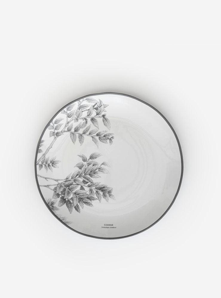 juego 24 piezas loza porcelana bosque nativo Chile
regalo vajilla porcelana flora fauna bosque chileno
vajilla porcelana diseño bosque valdiviano Chile
regalo matrimonio juego loza porcelana fauna Chile
vajilla porcelana completa bosque nativo Chile regalo