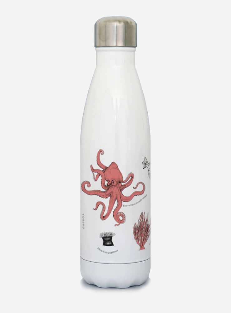 botella térmica 500ml diseño fondo marino Chile
botella reutilizable libre BPA fauna Chile
regalo botella térmica fondo marino Chile
botella térmica vuelta a clases fondo marino Chile
botella ecológica reutilizable fauna flora chilena