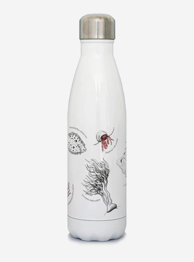 botella térmica 500ml diseño fondo marino Chile
botella reutilizable libre BPA fauna Chile
regalo botella térmica fondo marino Chile
botella térmica vuelta a clases fondo marino Chile
botella ecológica reutilizable fauna flora chilena