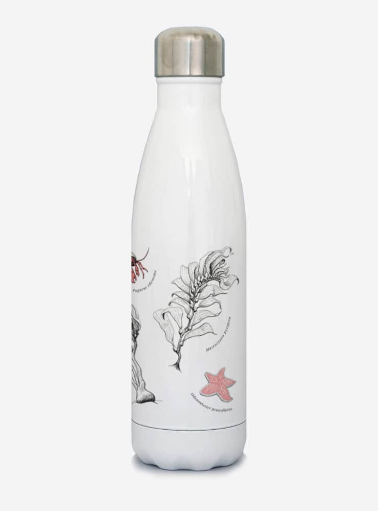 botella térmica 500ml diseño fondo marino Chile
botella reutilizable libre BPA fauna Chile
regalo botella térmica fondo marino Chile
botella térmica vuelta a clases fondo marino Chile
botella ecológica reutilizable fauna flora chilena
