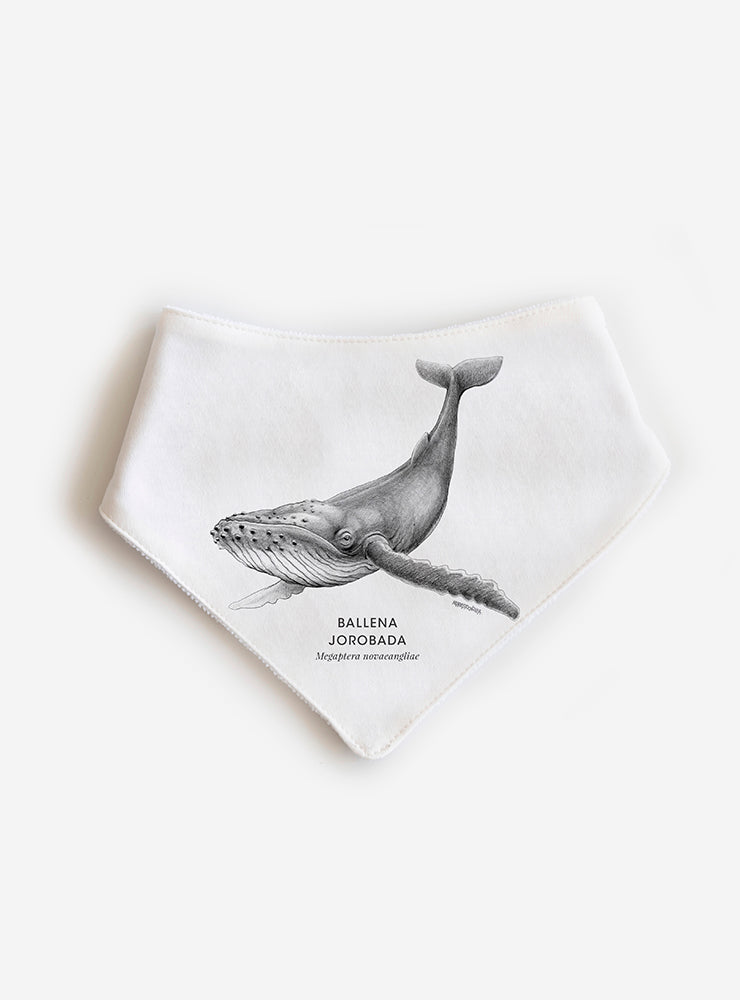 Babero Ballena Jorobada
