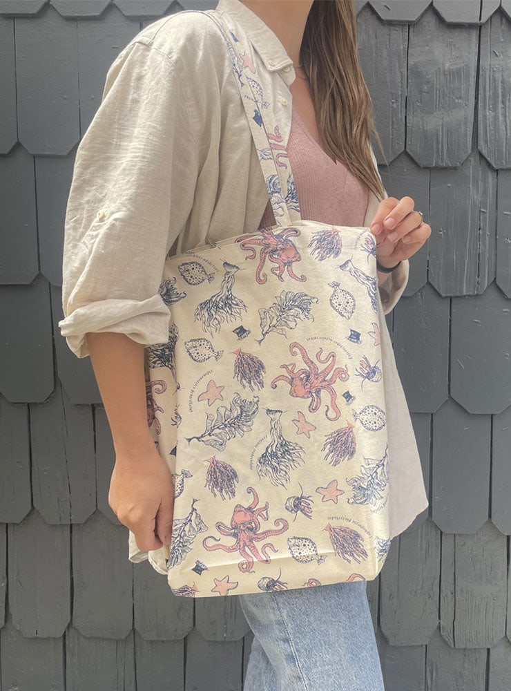 bolsa tela ecológica reutilizable fondo marino fauna submarina Chile
bolsa algodón 100% fauna marina costas Chile
regalo bolsa tela ecológica fondo marino Chile
bolsa compras reutilizable fondo marino Chile
alternativa plástico bolsa tela fauna marina Chile