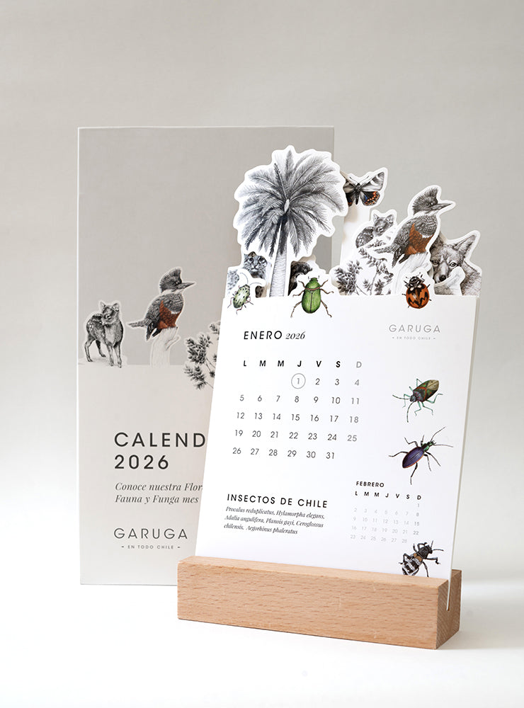 Calendario De Escritorio