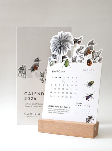 calendario de escritorio 2026 diseño fauna nativa Chile
calendario escritorio ilustración fauna flora chilena 13x23
regalo calendario escritorio fauna Chile 2026
calendario escritorio con base madera fauna chilena
calendario 2026 fauna flora nativa Chile regalo